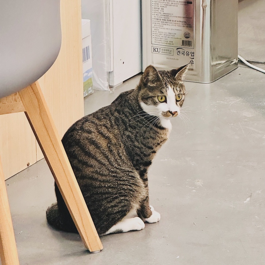 빙달 대학로점 이미지