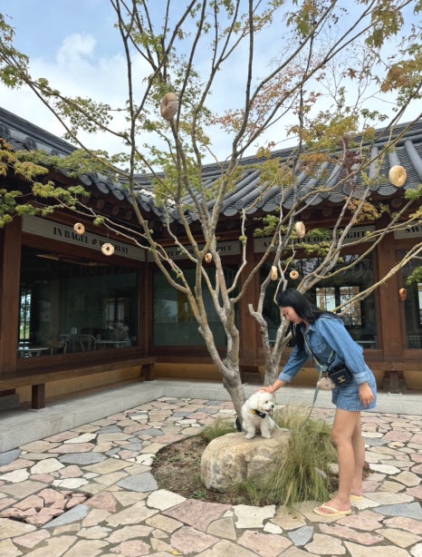 방울네 이미지