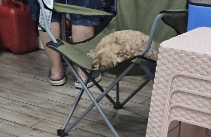 묵고갈래싸갈래 이미지