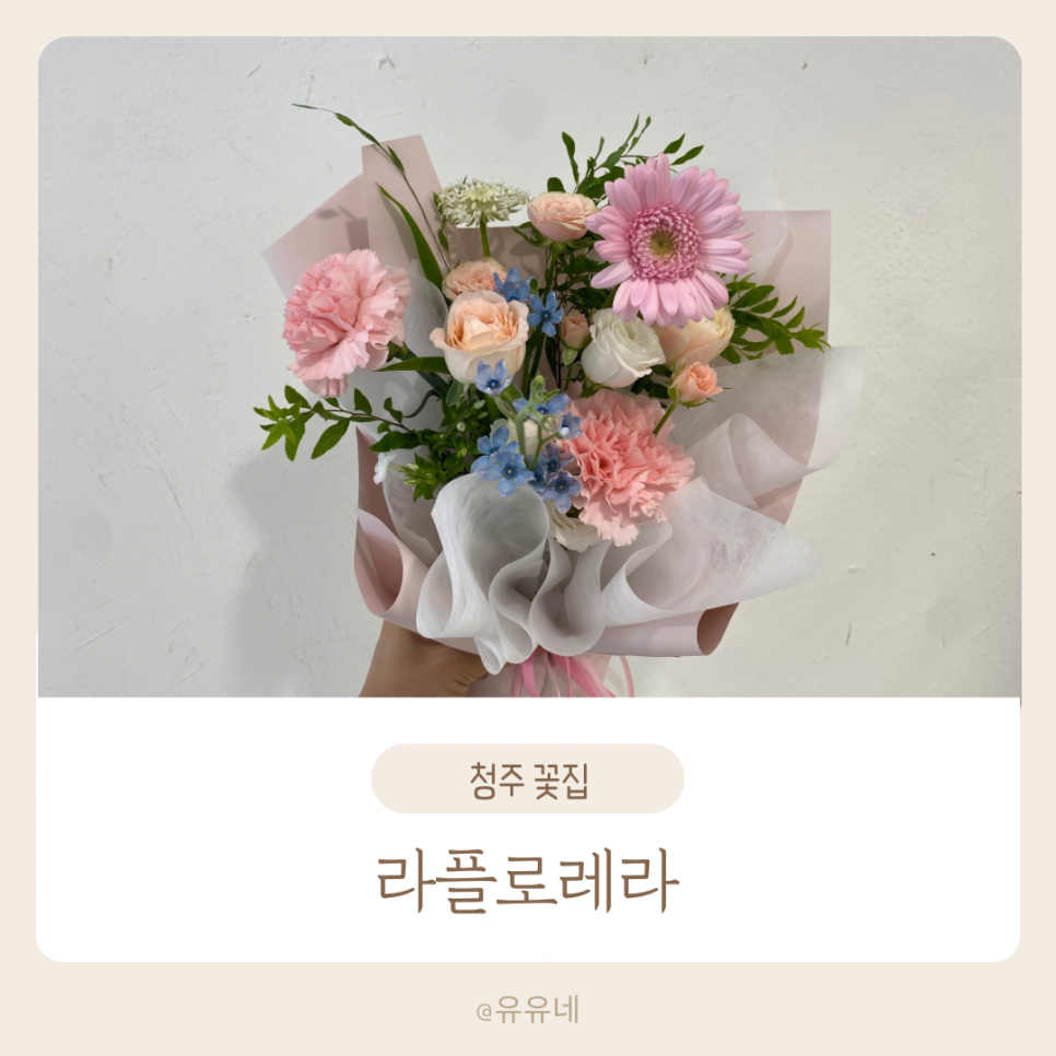 라플로레라 이미지
