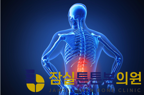 잠실튼튼본의원 이미지
