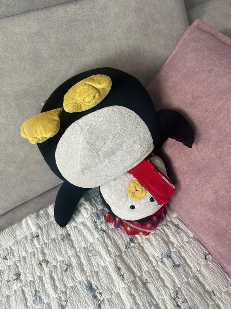 주타코 이미지