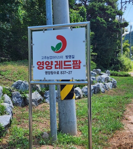 영양레드팜 이미지