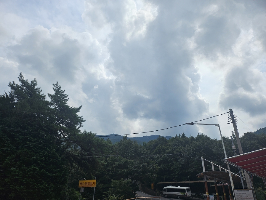삼천포건어물직매장 이미지