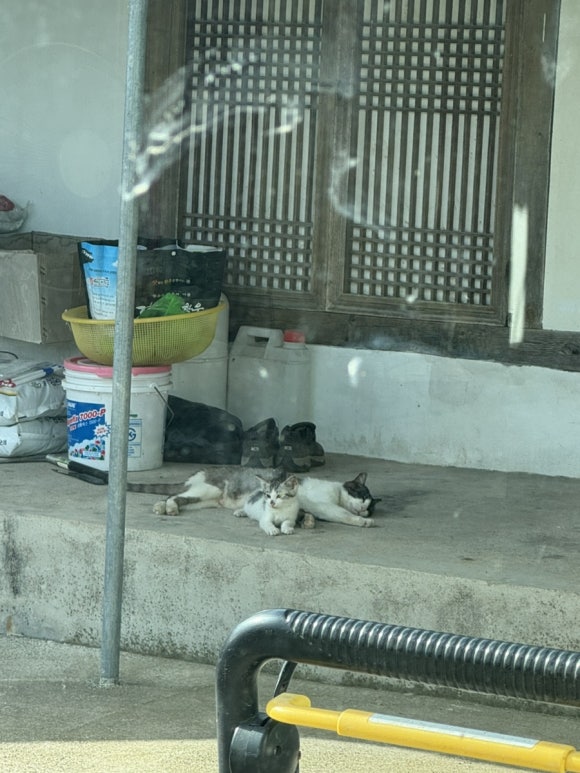 금선미용실 이미지