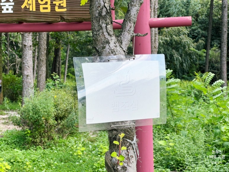 회암사지 유아숲체험원 이미지