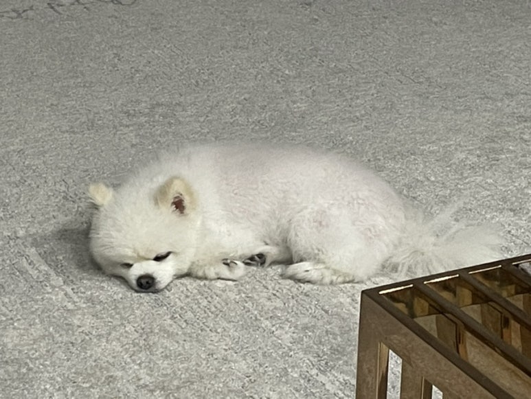 오씨오씨 이미지