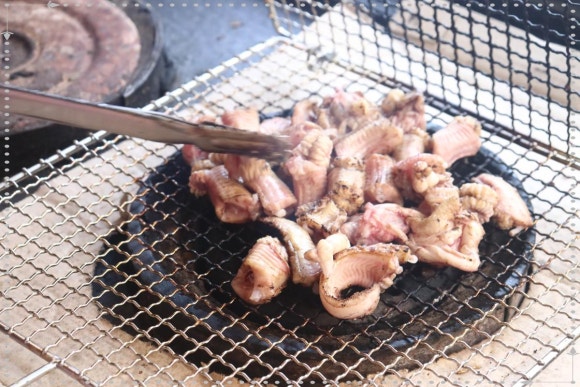 바다산곰장어 이미지