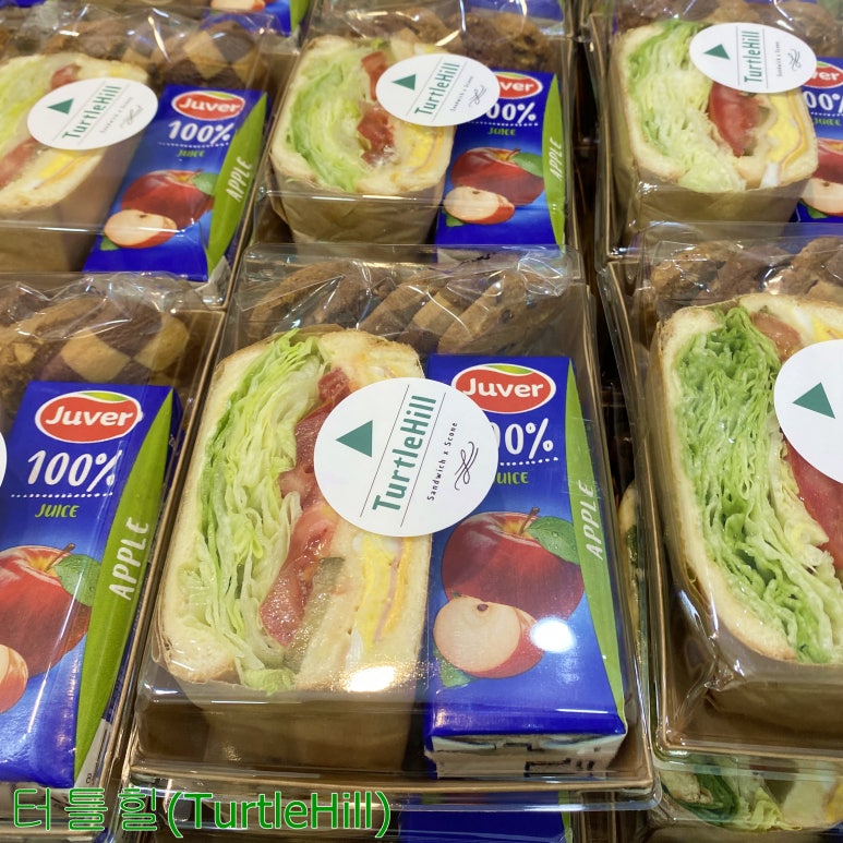 터틀힐 이미지