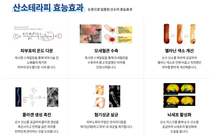 순수테라피 이미지
