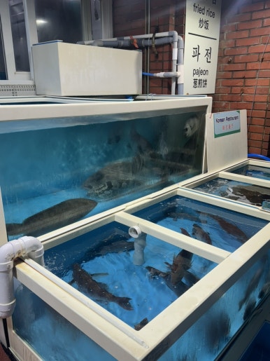 초가장 사진 8