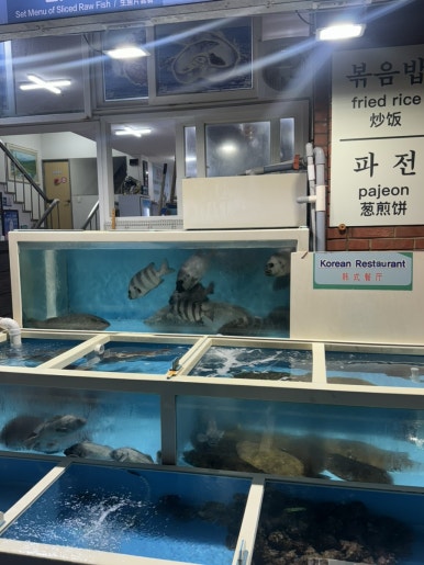 초가장 사진 7