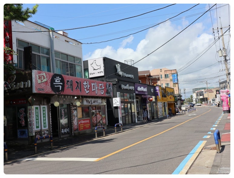 돼지한마당 이미지