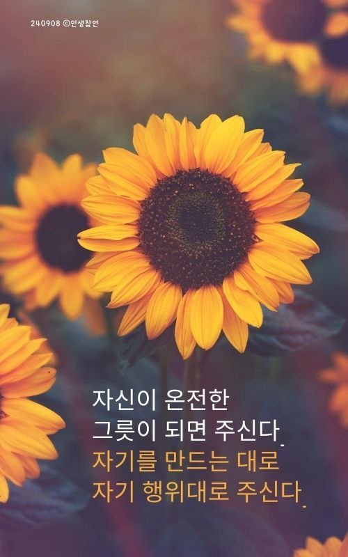 영성개발 이미지