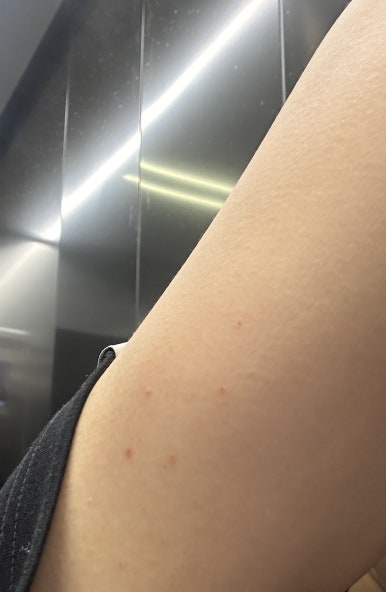 벨다드의원 이미지