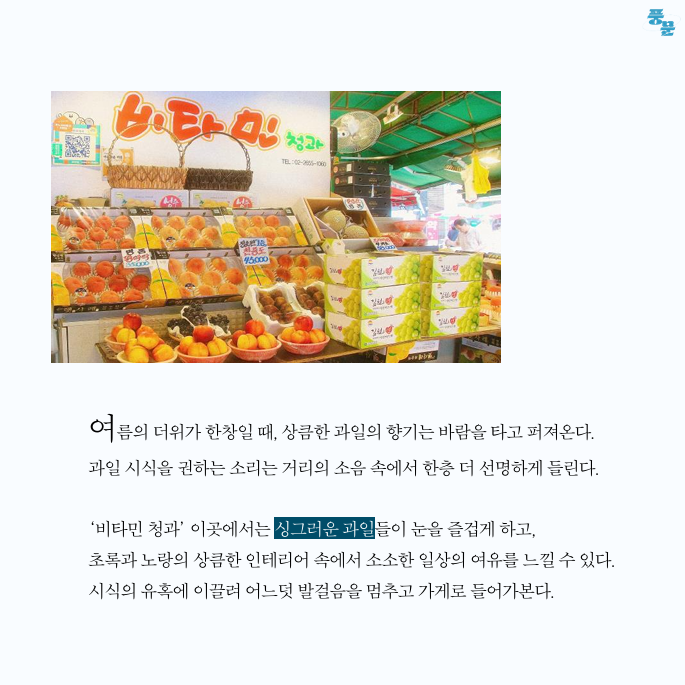 비타민청과 이미지