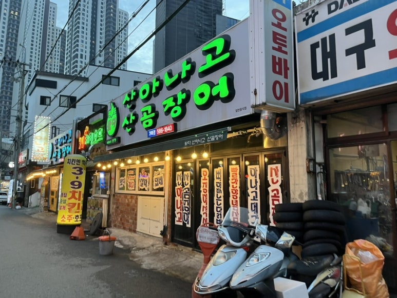왔다산아나고 이미지
