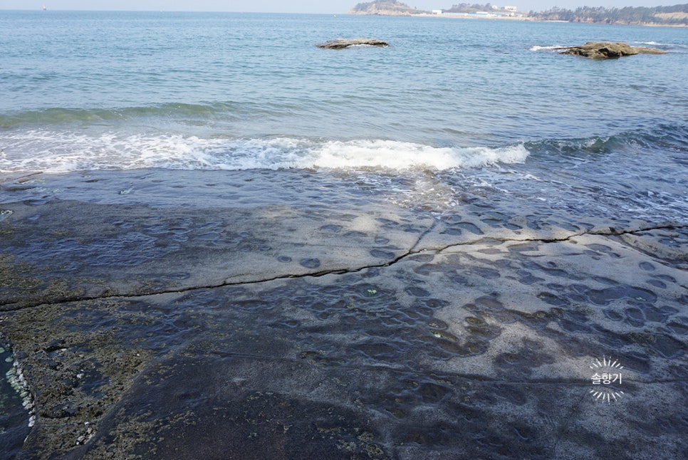 백합식당 이미지