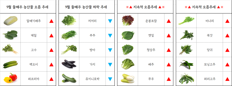 청운유통 이미지