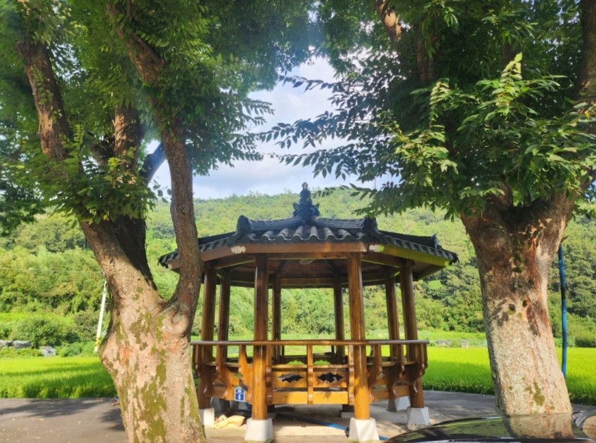 결우 이미지