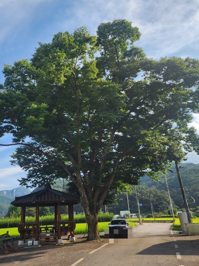 결우 이미지