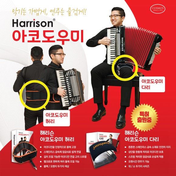코스모스악기주 이미지