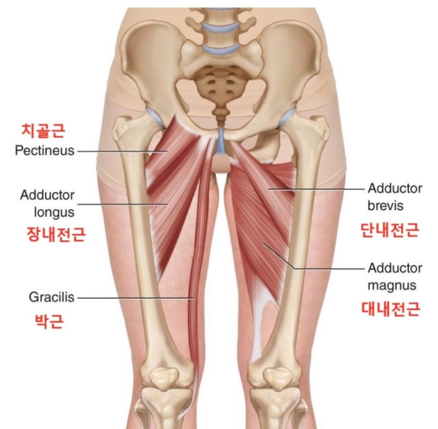 유핏 이미지