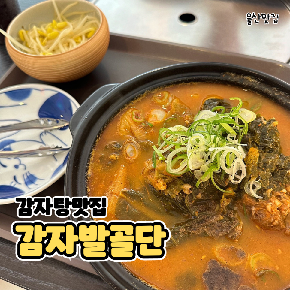감자발골단 이미지