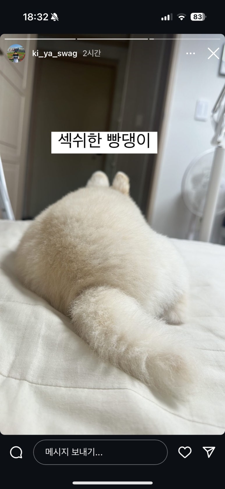 도담댕기 이미지