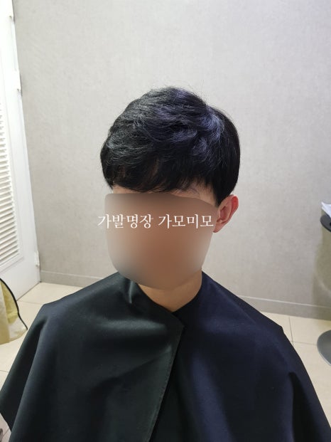 가모미모 이미지