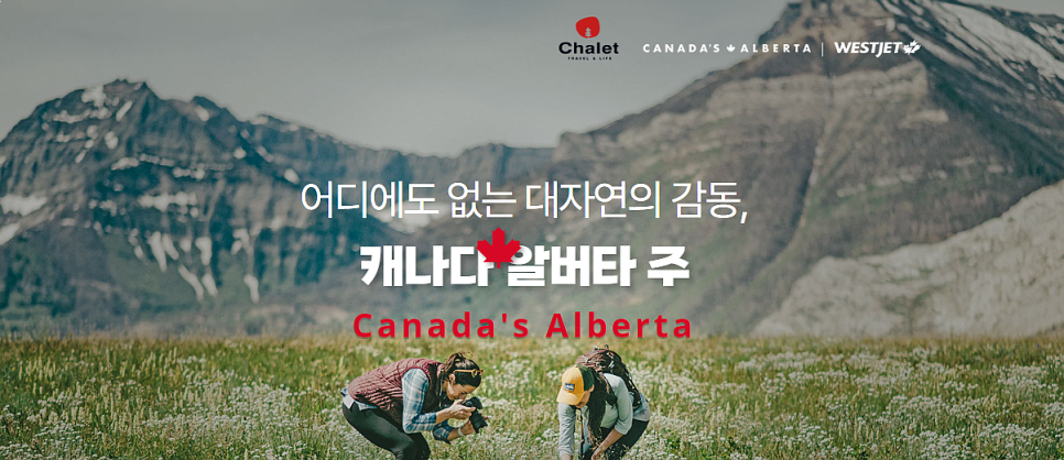 퍼팩트투어주 이미지