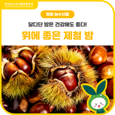 달디단 밤은 건강에도 좋다! 위에 좋은 제철 밤🌰 바로가기