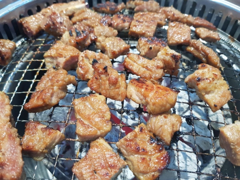 송죽잎 이미지