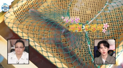 골목마차 이미지