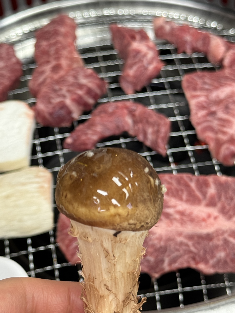 단양두진한우명가 이미지