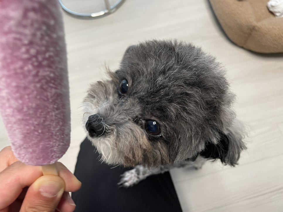 동마곱창 이미지