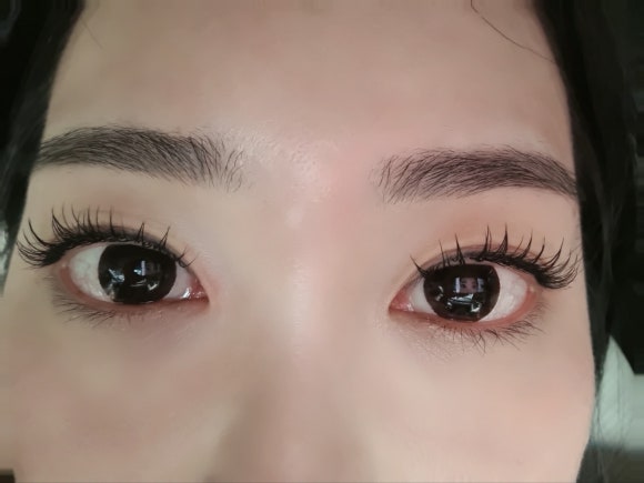 퀸도테라 이미지