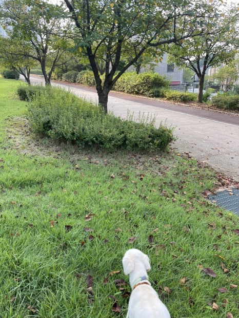세무회계지우 이미지