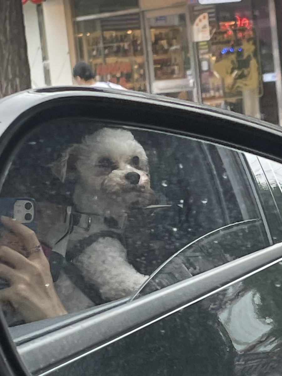 마냥가방 이미지