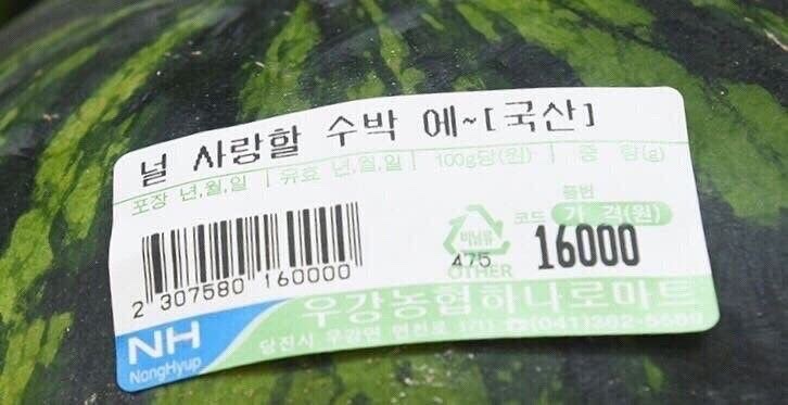 플라워스튜디오시소 이미지