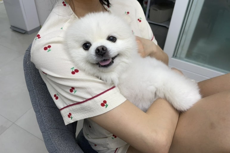오씨오씨 이미지
