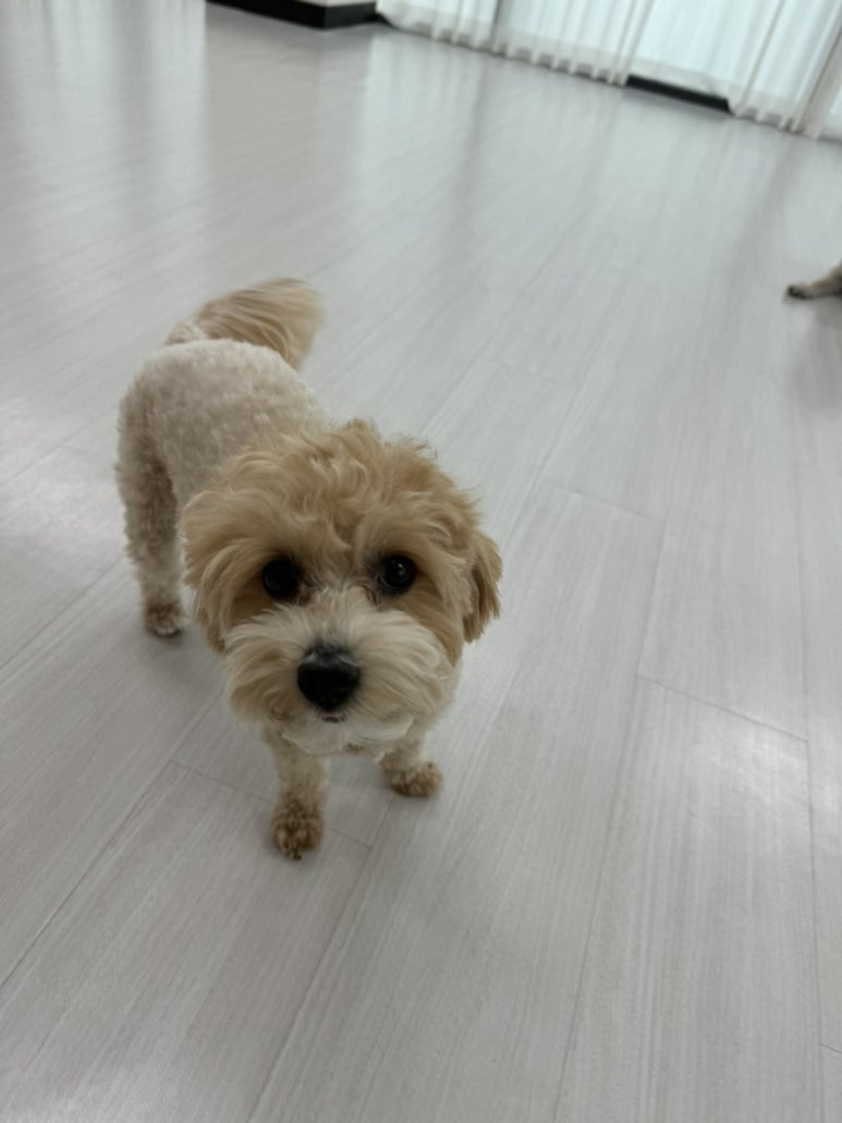 올망졸망 이미지