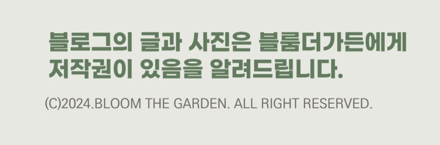 신춘식당 이미지