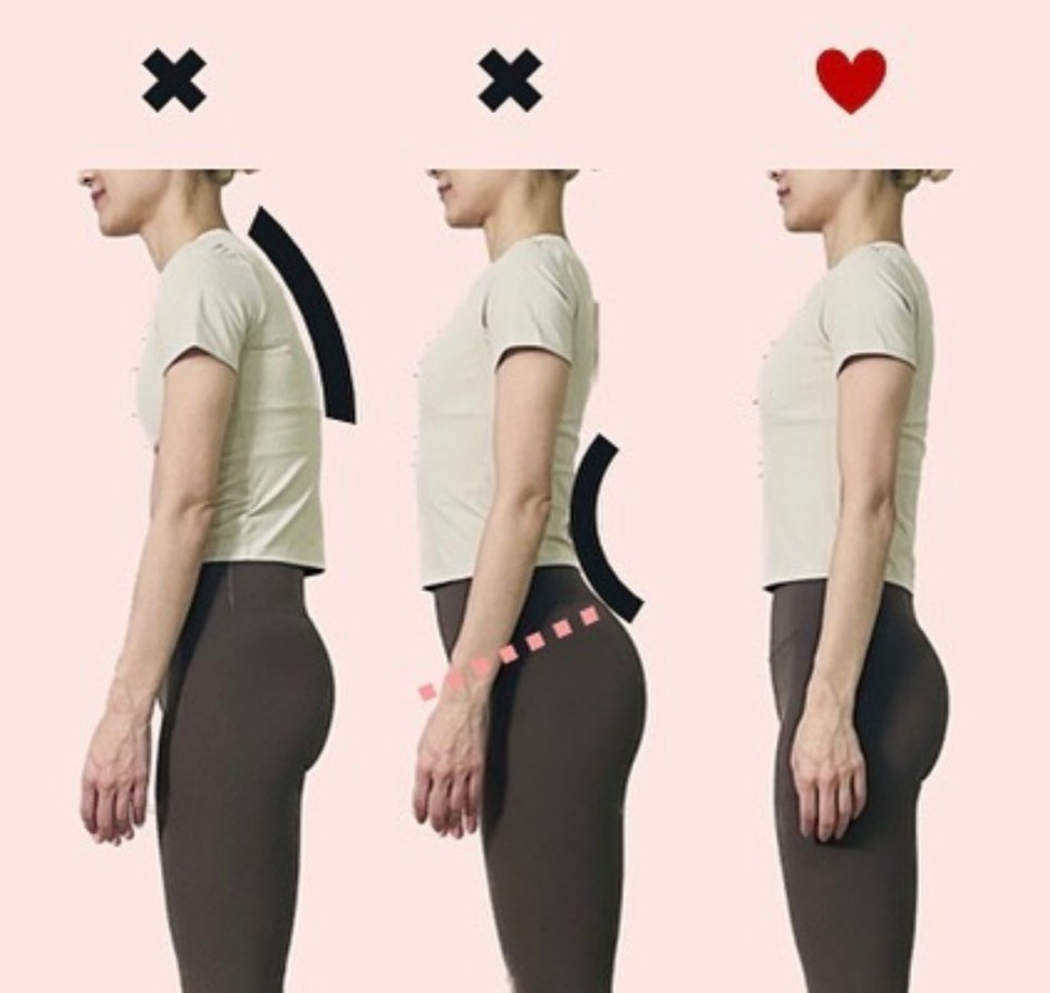 필라디아 이미지