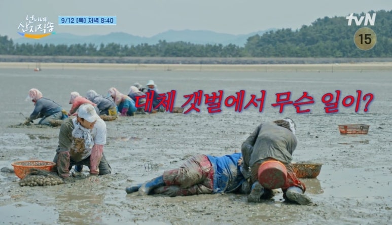 언니네식탁 이미지