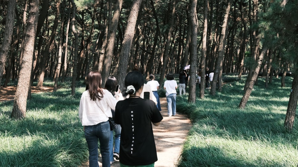 다이벌스 이미지