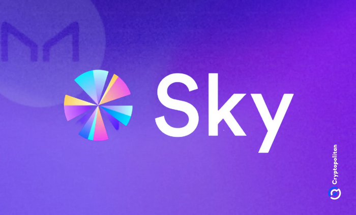 스카이(SKY) 이미지