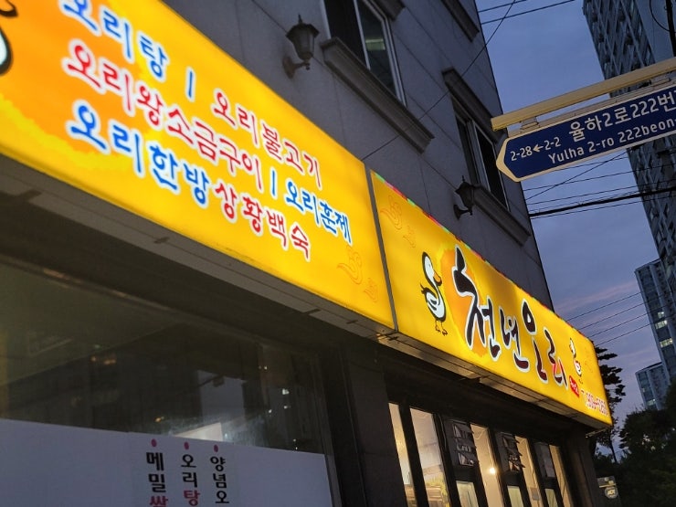천년오리 이미지