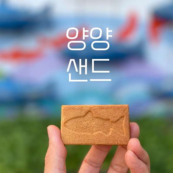 양양여성협동조합 이미지