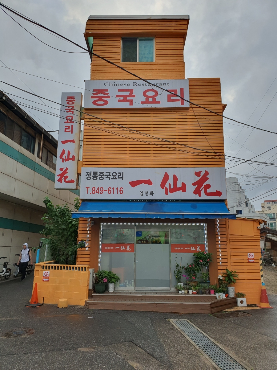 일선화 이미지